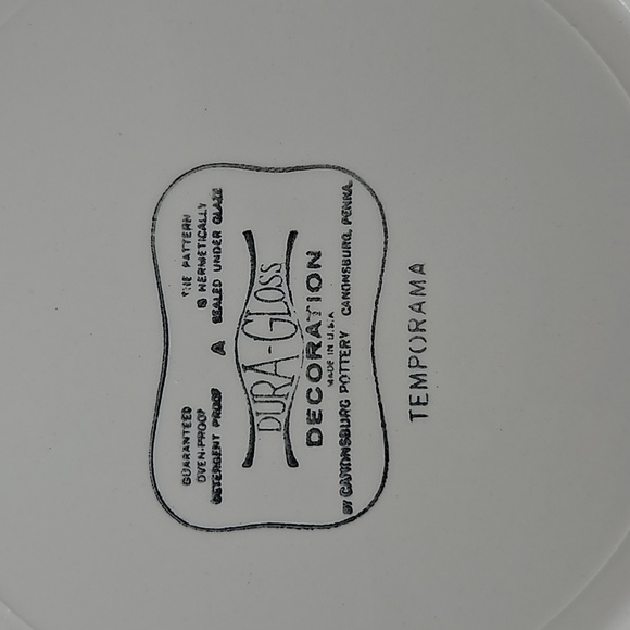 Canonsburg Pottery Temporama Dinner Plates EXCELLENT CONDITION - Picture 5 of 5